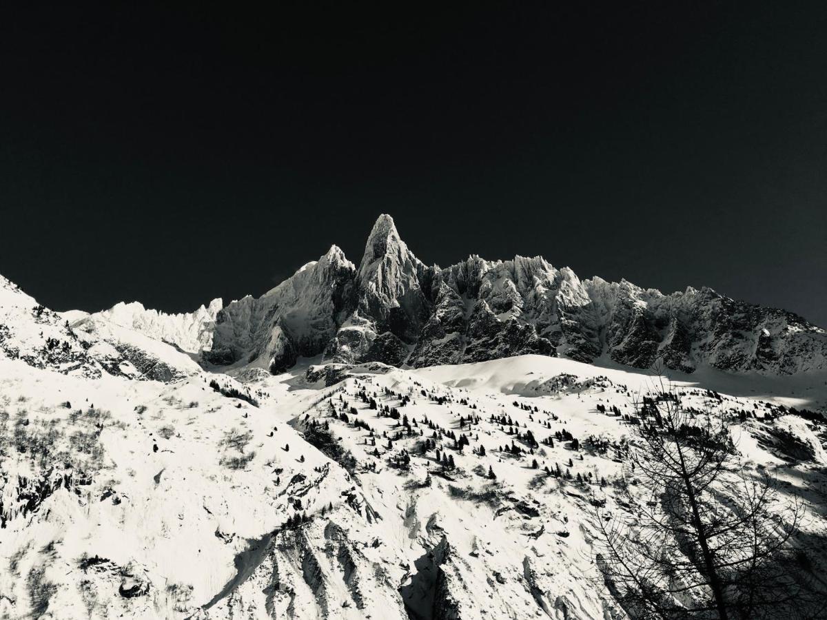 Appartement Grépon Mont-Blanc Chamonix Extérieur photo